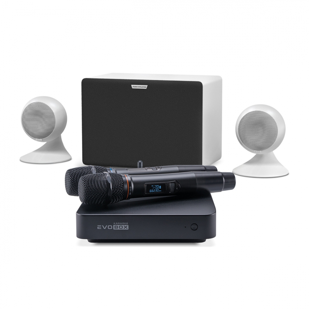 караоке-комплект EVOBOX Classic + EvoSound Sphere 2.1 в Выксе