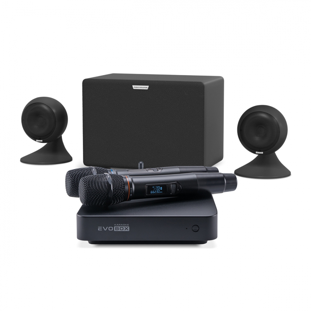 караоке-комплект EVOBOX Plus + EvoSound Sphere 2.1 в Выксе