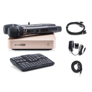 EVOBOX Classic караоке-система для дома в Выксе