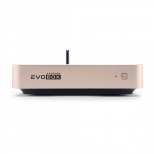 EVOBOX Plus караоке-система для дома в Выксе