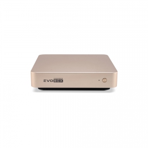 EVOBOX с микрофонами в Выксе