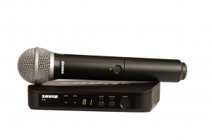 SHURE BLX24E/PG58 M17 вокальная радиосистема в Выксе